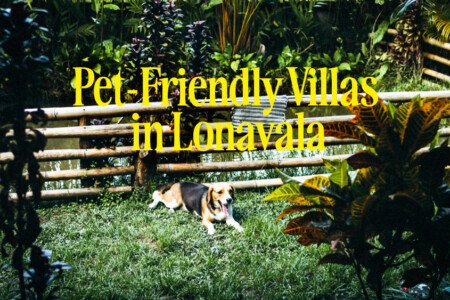 Pet Friendly Villas in Lonavala