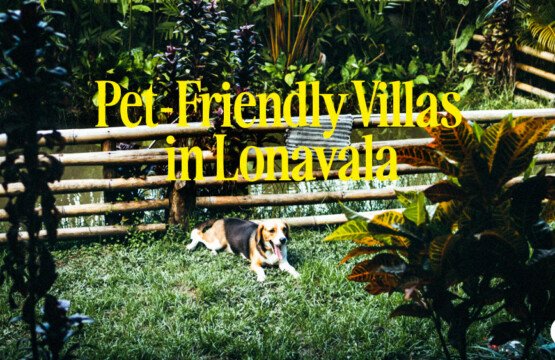 Pet Friendly Villas in Lonavala