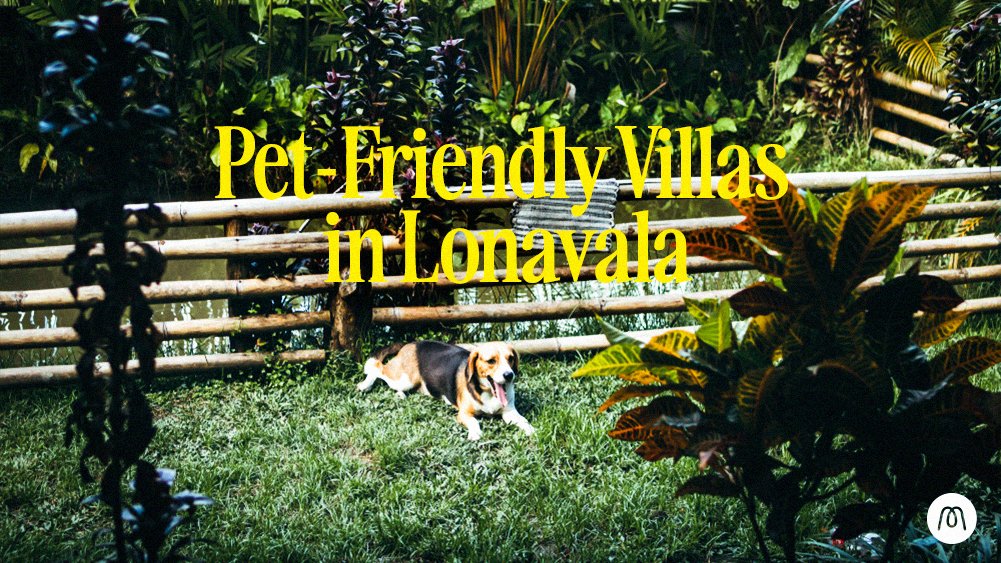 Pet Friendly Villas in Lonavala